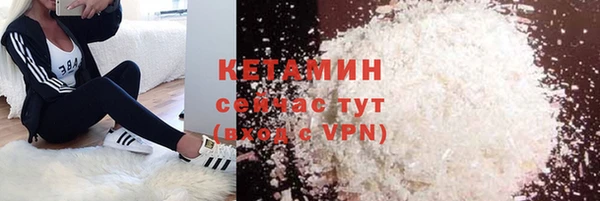 дживик Туринск