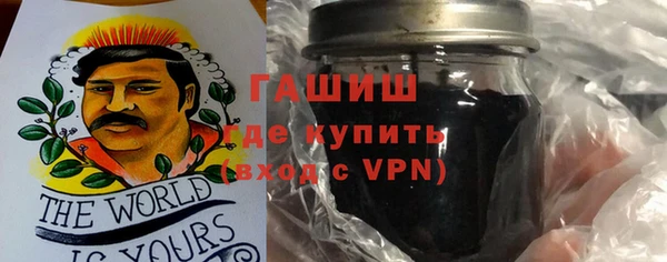 дживик Туринск