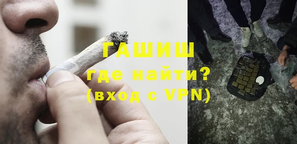 дживик Туринск