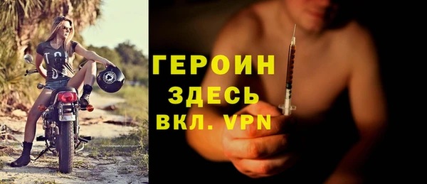 дживик Туринск