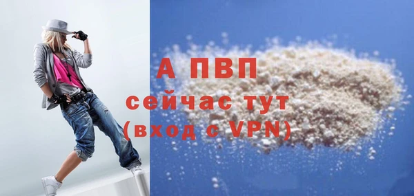 крисы Тында