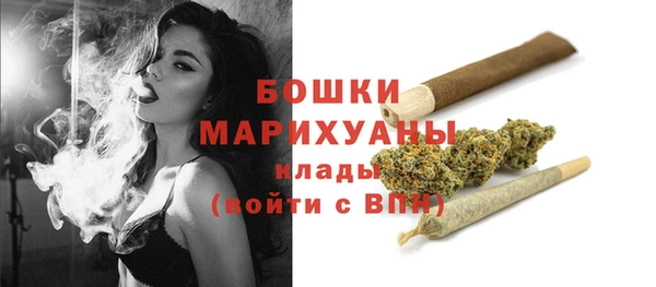 дживик Туринск