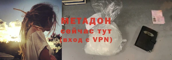 дживик Туринск