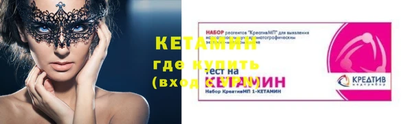 дживик Туринск