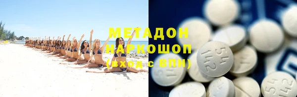 крисы Тында