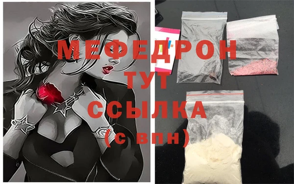 дживик Туринск