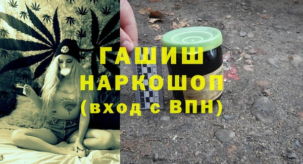 дживик Туринск
