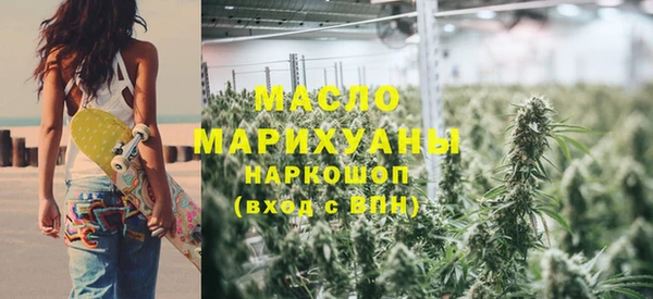 дживик Туринск