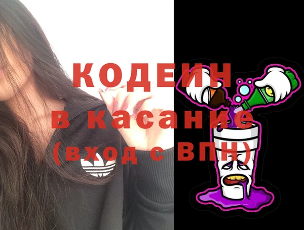 крисы Тында