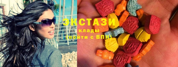 крисы Тында