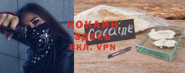 дживик Туринск