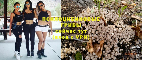 крисы Тында