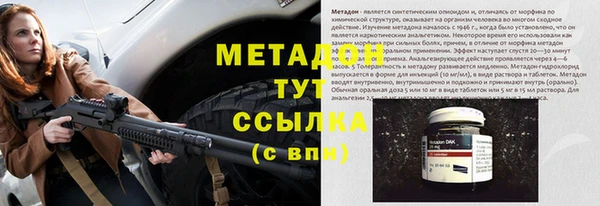 дживик Туринск