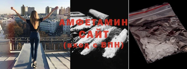 дживик Туринск