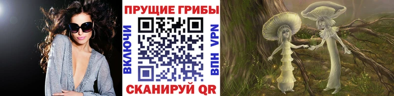 Купить где  Феодосия  Галлюциногенные грибы Cubensis 